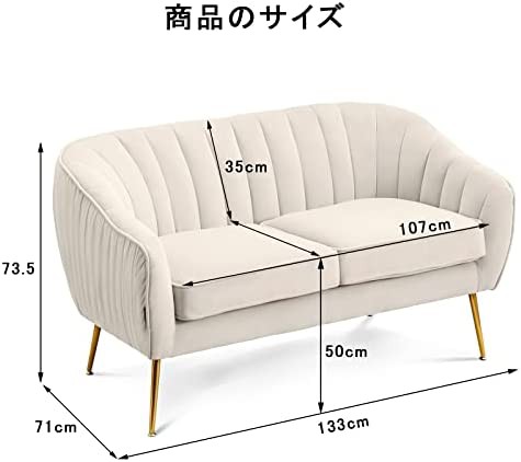 Altrobene 2人掛け ソファー ベルベット ソファ モダン 一人暮らし ...