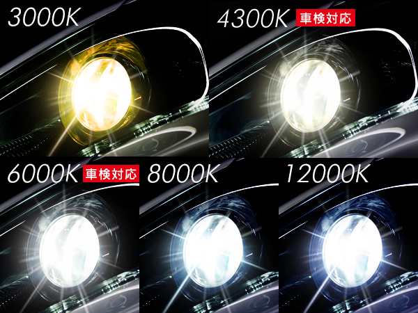 HIDバルブ 信玄 H1 H3 H3C H7 H8 H9 H11 H16 HB3 HB4 35W/55W兼用 HID