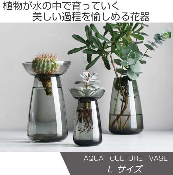 キントー Kinto 花器 Aqua Culture Vase Lサイズ ガラス 花瓶 おしゃれ フラワーベース 花 グリーン 栽培 ハーブ インテリア の通販はau Pay マーケット リビングート