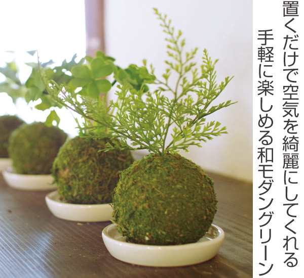 人工観葉植物 Wa Bonsai Artificial Green 造花 フェイクグリーン 植物 盆栽 苔 苔玉 人工 フェイク 観葉植物 植物 人工観葉植物 インの通販はau Pay マーケット リビングート