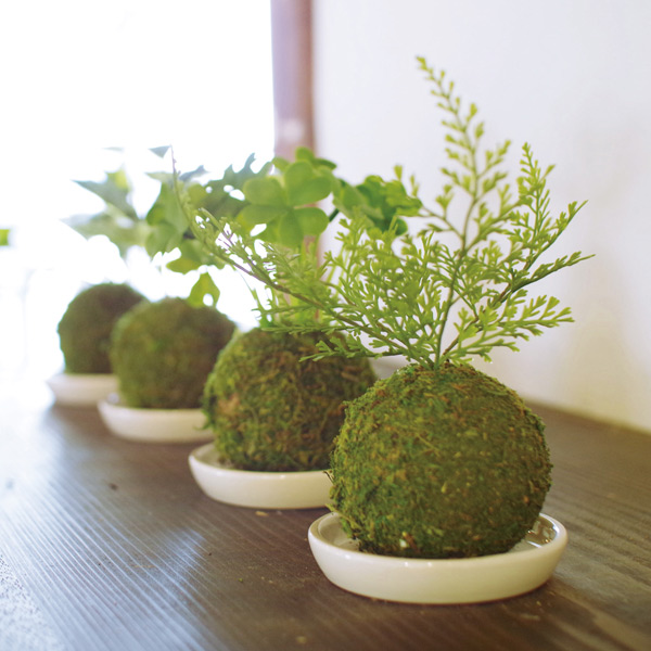 人工観葉植物 Wa Bonsai Artificial Green 造花 フェイクグリーン 植物 盆栽 苔 苔玉 人工 フェイク 観葉植物 植物 人工観葉植物 インの通販はau Pay マーケット リビングート