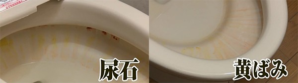 洗剤 茂木和哉 尿石落としジェル （ トイレ洗剤 掃除 洗浄 尿石 黄ばみ 落とし 清掃 トイレ 用品 掃除 便器 ジェル 高粘度 尿石 取り  除の通販はau PAY マーケット - リビングート