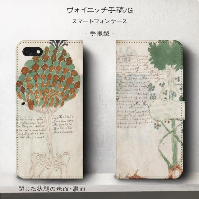 手稿 ヴォイニッチ