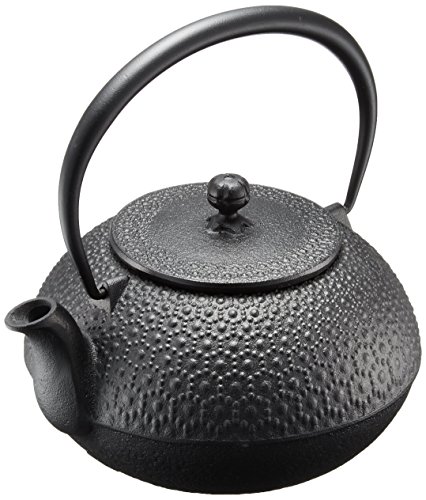 及源 盛栄堂 南部鉄 新亀甲アラレ 1.25L H-156 鉄瓶