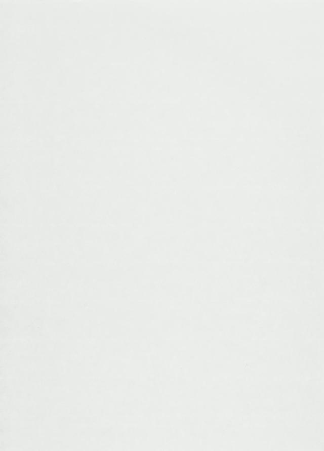 漢字用半紙 1000枚 紅葉・AA1337