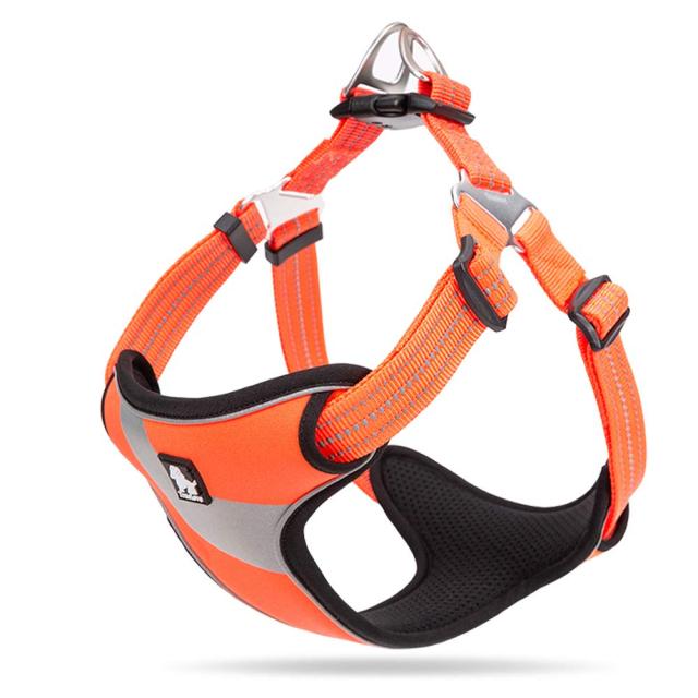 J&C Paradise 快適 犬ハーネス 日本正規店 犬用胴輪 簡単装着 目立つ 3M反射 軽量 負担が少ない おしゃれ 人気 丈夫 通気性 TRUの通販は 4,821円