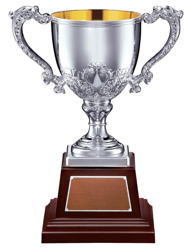 V-SHIKA ノーブル カップ 卒団 卒業 表彰 贈呈 記念品 セレモニー メモリアル 優勝 入賞 刻印 コンペ 大会 パーティ ゴルフ サッカー 野球 ... 225xΦ90mm 800g の通販は