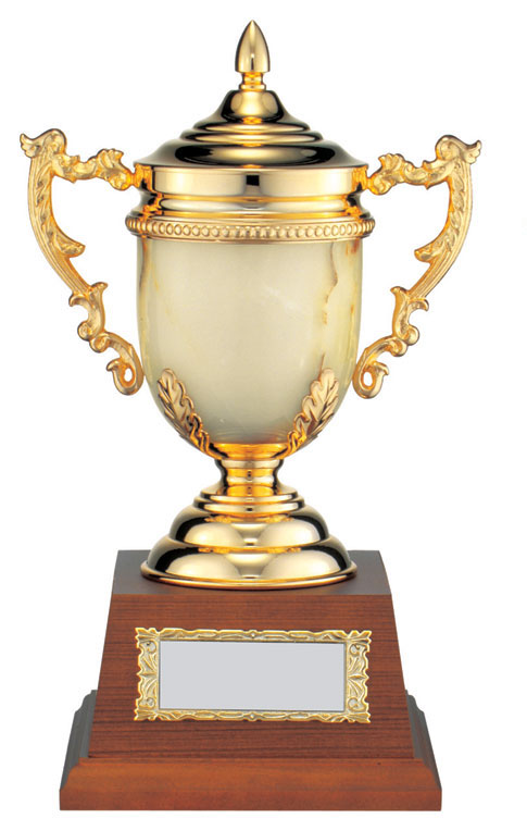 V-SHIKA マーブル カップ 卒団 卒業 表彰 贈呈 記念品 セレモニー メモリアル 優勝 入賞 刻印 コンペ 大会 パーティ ゴルフ サッカー 野球 ... 高さ260mm 1015g の通販は