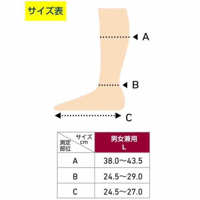 通販でクリスマス Dr.Scholl ドクターショール フライトソックス L