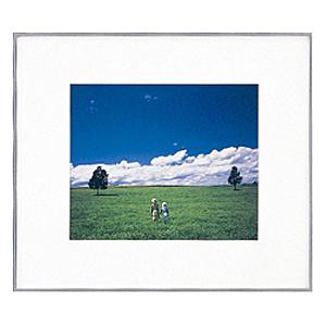 浅沼商会 [303579] FUJICOLOR アルミ額縁 ワイドマットフレーム A5010 ワイド4切の通販は