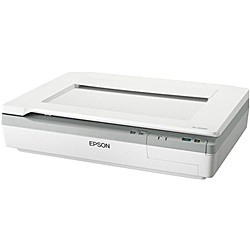 EPSON [DS-50000] A3フラットベッドスキャナー/600dpi/A4片面4秒/1枚(300dpi)