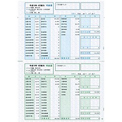 ソリマチ [SR210] 給与・賞与明細書(明細型)500枚入