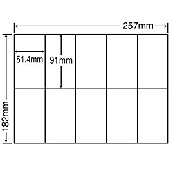 東洋印刷 [C10B5M] シートカットラベル B5版 10面付(1ケース1000シート)の通販は 26,548円