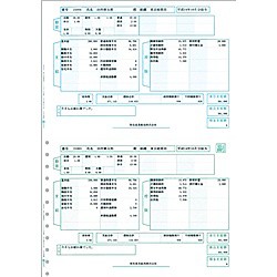 うのにもお得な情報満載 弥生 [200029] 給与明細書ページプリンタ用紙