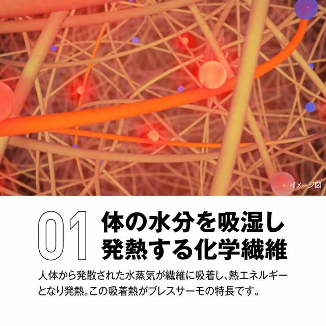 ミズノ ウインドブレーカー メンズ 上下 Mizuno 中綿入り ブレス
