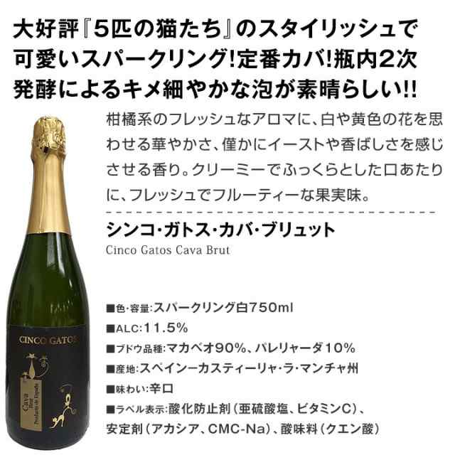 【送料無料】第40弾！本格シャンパン＆ブルゴーニュ入り！特大スペシャル12本セット！ ワイン ワインセット セット 赤ワインセット