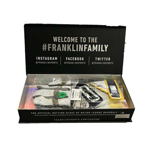 送料無料 Franklin フランクリン 野球 打撃用手袋 両手用 バッティンググローブ 専用ケース入り P487962の通販はau PAY  マーケット メジャースポーツ au PAY マーケット－通販サイト