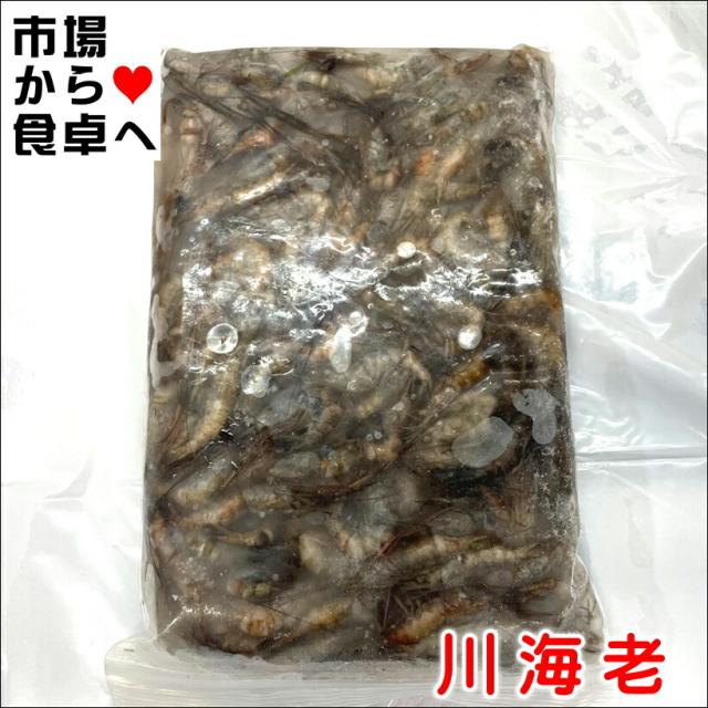 川エビ 5パック(1パック)500g【業務用川海老】居酒屋の定番メニュー、から揚げに【冷凍便】