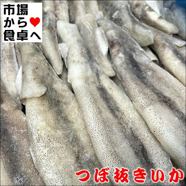 つぼ抜きいか いか姿 小 7.5kg 約100尾(1杯約70g)【はらわた無し・便利な加工済み】焼き物・煮物・揚げ物・いかめしに【冷凍便】の通販は