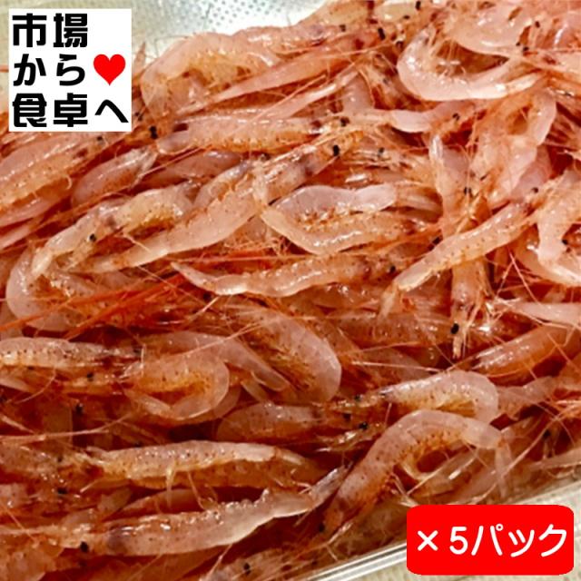 生桜えび (冷凍) 5パック(1パック500g入り) 【生食用・業務用】 獲れたての桜海老を急速冷凍しています【冷凍便】