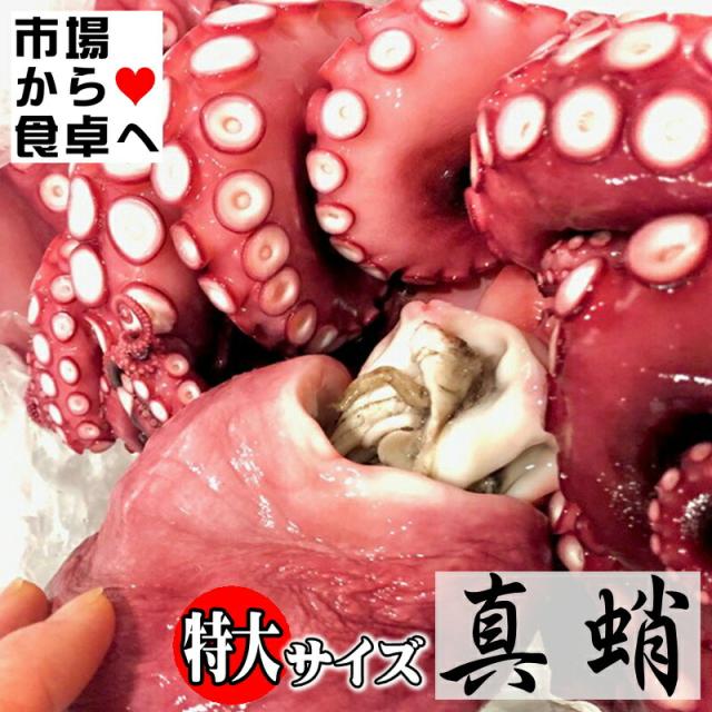 タコ　50L ステンレス等長タコ足 ハイゼットトラック／ジャンボ(S500P/S510P