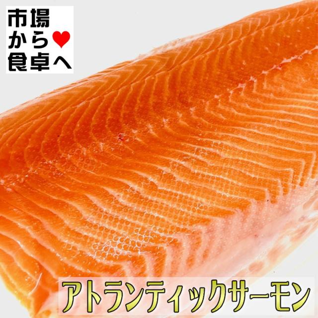生アトランティックサーモン 半身1枚(約1.5kg)【業務用・脂あります】お刺身・お寿司・カルパッチョ・ステーキ・ムニエル・フライに【冷蔵便】