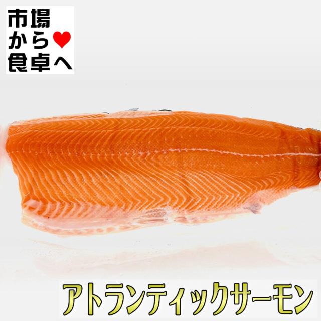 生アトランティックサーモン 半身1枚(約1.5kg)【業務用・脂あります】お刺身・お寿司・カルパッチョ・ステーキ・ムニエル・フライに【冷蔵便】_1