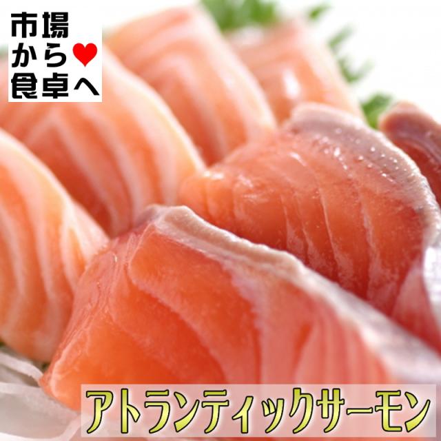 生アトランティックサーモン 半身1枚(約1.5kg)【業務用・脂あります】お刺身・お寿司・カルパッチョ・ステーキ・ムニエル・フライに【冷蔵便】_3