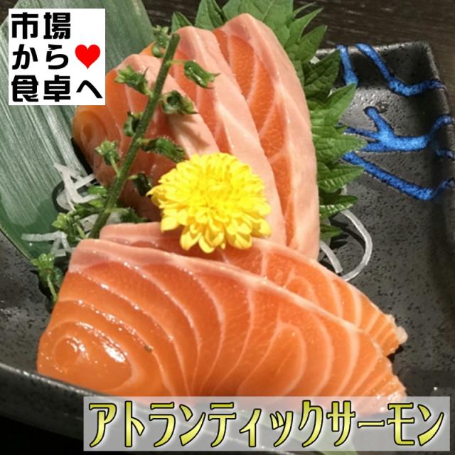 生アトランティックサーモン 半身1枚(約1.5kg)【業務用・脂あります】お刺身・お寿司・カルパッチョ・ステーキ・ムニエル・フライに【冷蔵便】_4