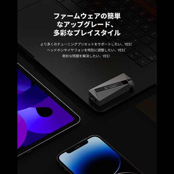 楽彼 (LUXURY&PRECISION) W4 USB DAC アンプ ドングル型 スティック型 
