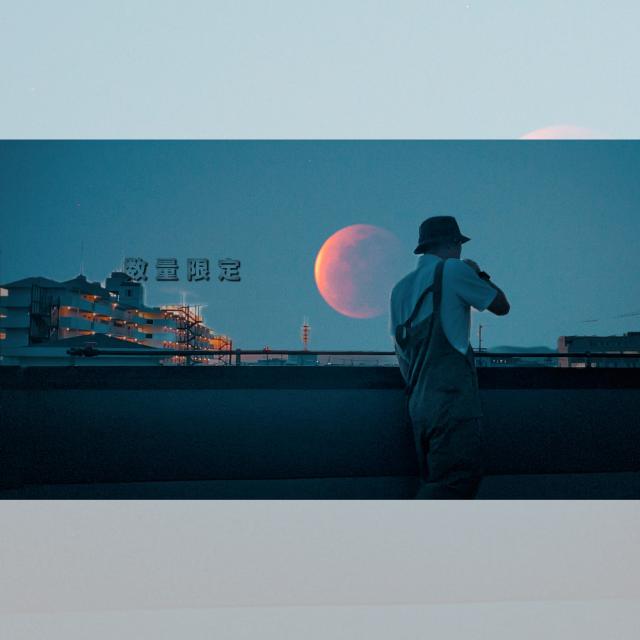 tsb 数量限定 ヴィンテージ風 サロペット メンズ ウォッシュ加工 色