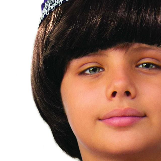 送料無料 ストレンジャーシングス ウィル ウィッグ かつら コスプレ