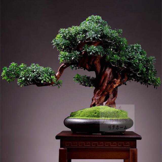 インテリアグリーン 高級模造迎客松盆栽 置物 禅意迎客松盆栽装飾