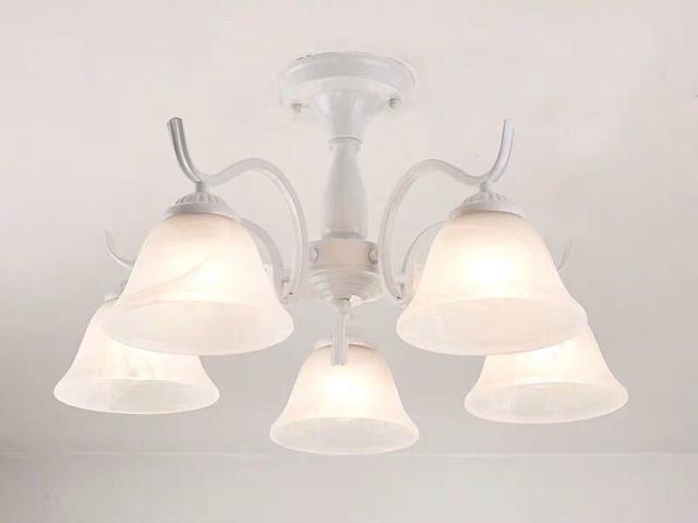 ペンダントライト 洋風照明．シャンデリア 北欧デザイン天井照明 電源直結タイプの通販は