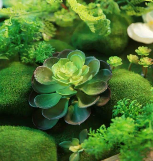 壁飾り 人工観葉植物 壁掛けインテリア ディスプレイ 壁掛けミックス  