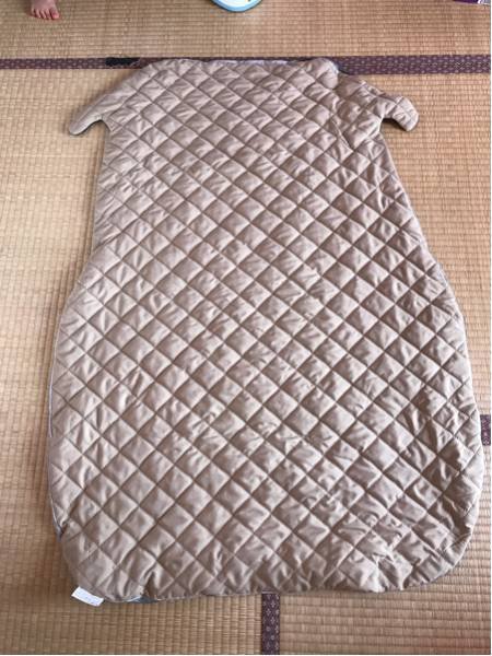 可愛い パグ毛布犬柄 ブランケット 防寒対策 ひざ掛け 夏かけ布団80x115の通販は