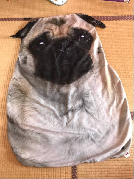 可愛い パグ毛布犬柄 ブランケット 防寒対策 ひざ掛け 夏かけ布団80x115の通販はその他インテリア・寝具