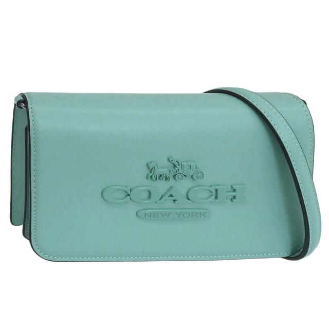 コーチ バッグ COACH ぺブルレザー ヴェイル フィービー カラー