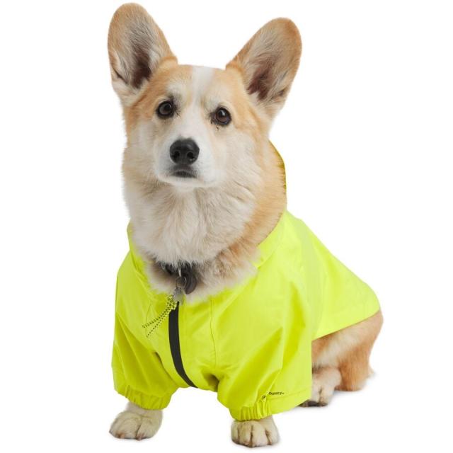 (取寄) バックカントリー X ペトコ ザ ドッグ レイン ジャケット Backcountry x Petco The Dog Rain