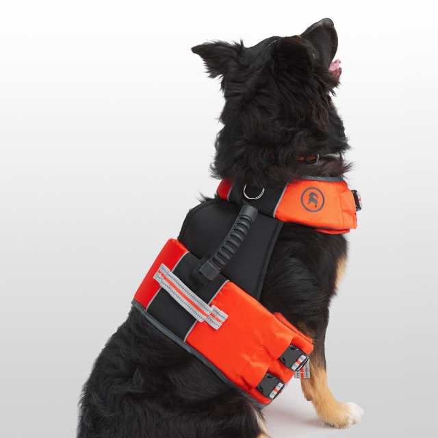 petco dog flotation vest