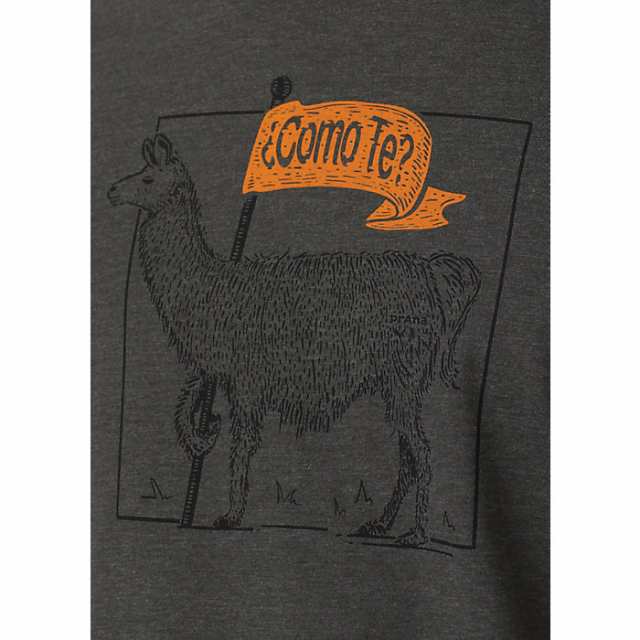 (取寄) プラナ メンズ コモ TE ラマ ジャーニーマン 2 ティー Prana Prana Men's Como Te Llama  Journeyman 2 Tee Charcoal Heather｜au PAY マーケット