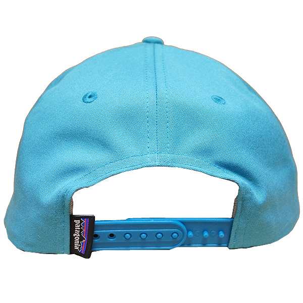 patagonia line logo ridge roger that hat