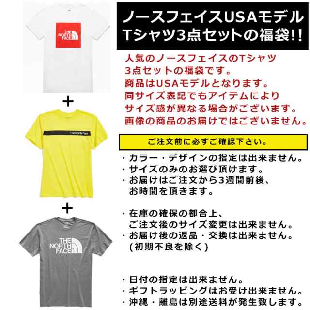 ノースフェイス Tシャツ 福袋 メンズ 3枚セット USAモデル THE North ...