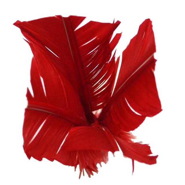 スペア10本セット】インディアカ シャトル ドイツ製 羽根のみ ボール