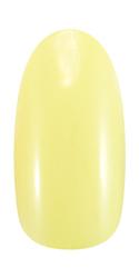 Nail Parfait（ネイルパフェ） カラージェル ４ｇ　（シトロン）４５００１