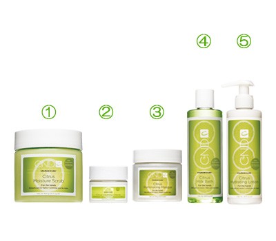 【送料無料】ＣＮＤ　シトラス　プロフェッショナルキットの通販は