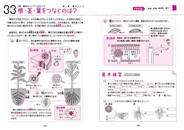 中1理科をひとつひとつわかりやすく。 (中学ひとつひとつわかりやすく