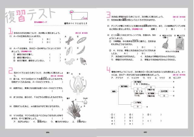 中1理科をひとつひとつわかりやすく。 (中学ひとつひとつわかりやすく