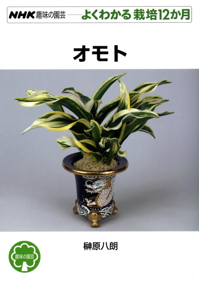 オモト (NHK趣味の園芸 よくわかる栽培12か月)(中古品)の通販は 6,682円