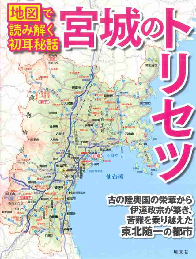 宮城のトリセツ(中古品)の通販は